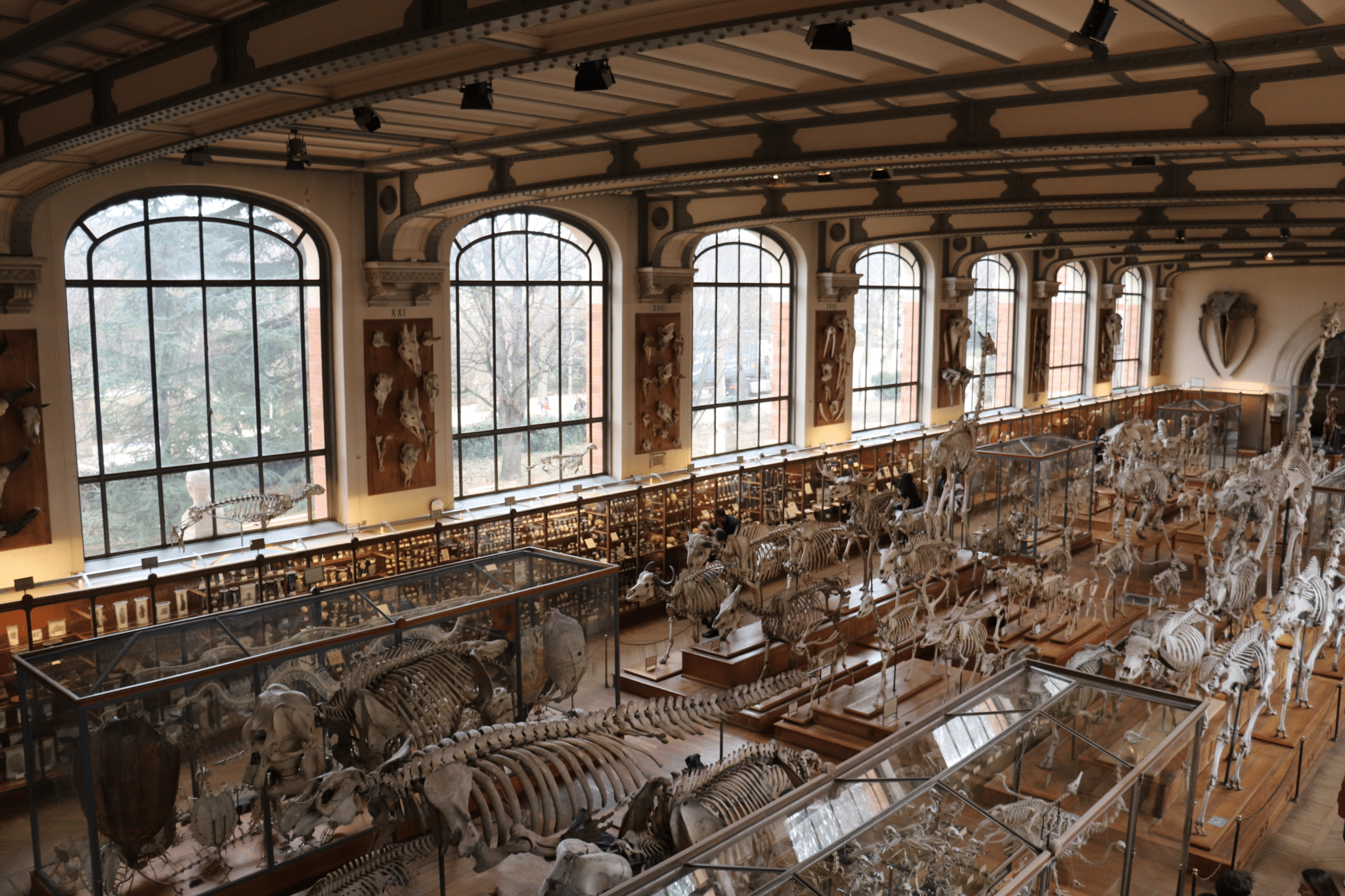 galerielvl1